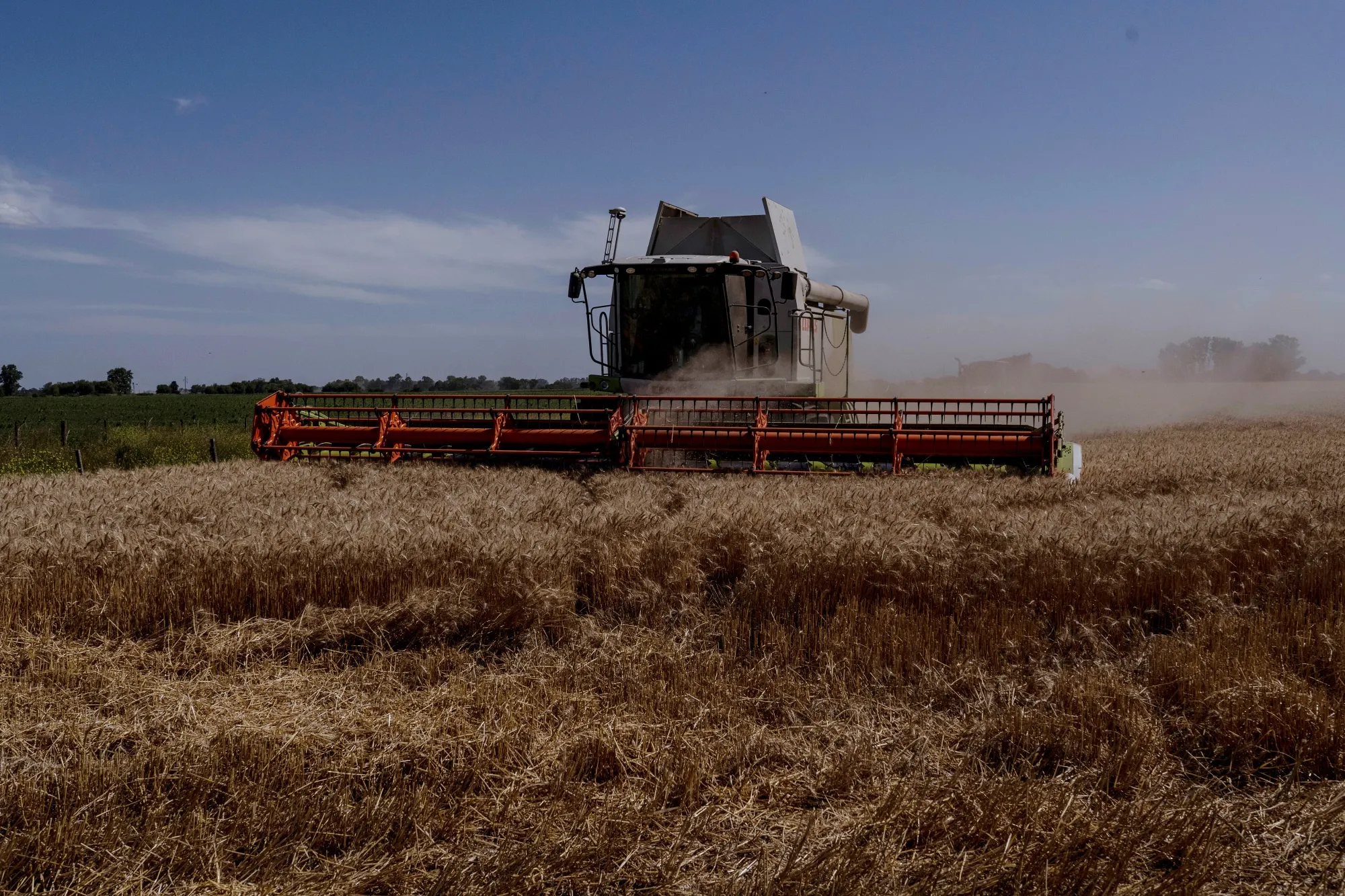 Economía argentina supera con creces previsiones en diciembre