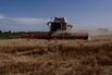 Wheat Harvest As Argentine Crop Advances