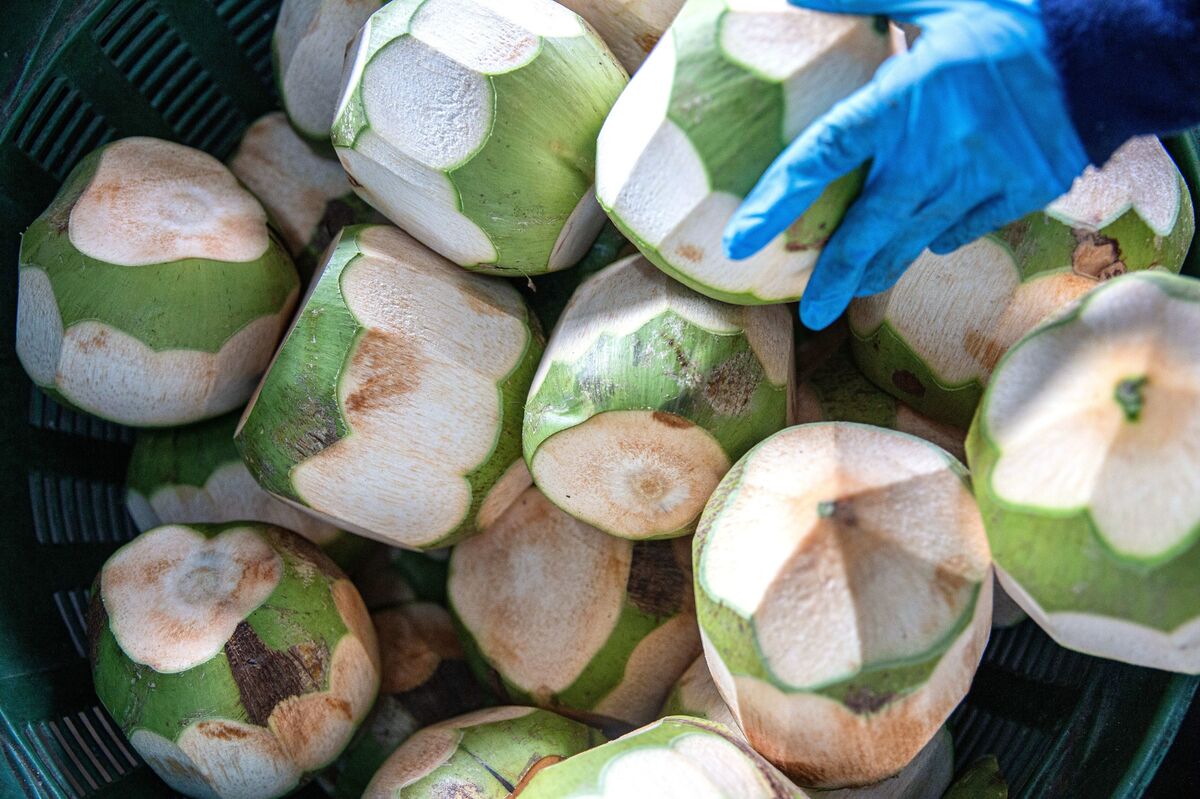 Thai Coconut Water Maker IFBH’s Shares Jump in Hong Kong Debut