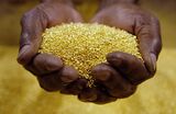 A worker holds gold granules at the Rand Refinery, the large