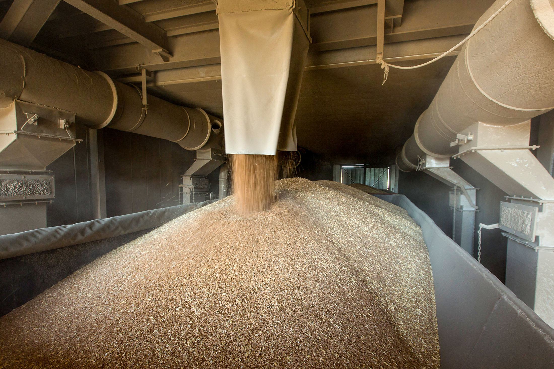 Wheat grain falls into a waiting truck at a grain silo in Malmesbury, South Africa.