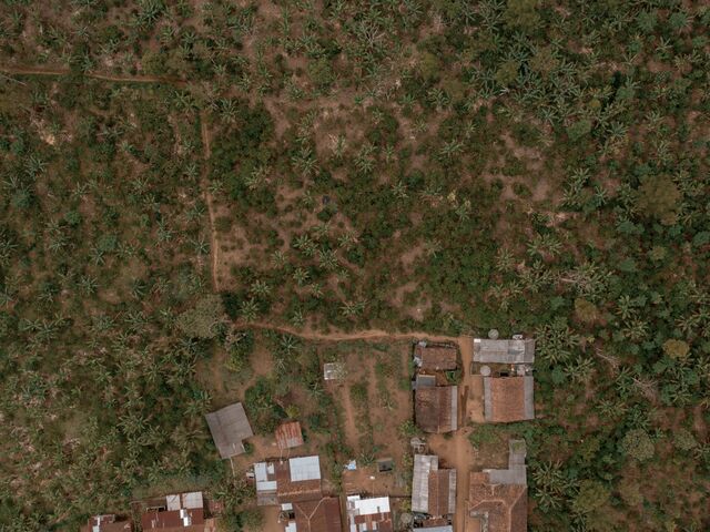 An earial view of Sri Wahyuni’s coffee plantation.