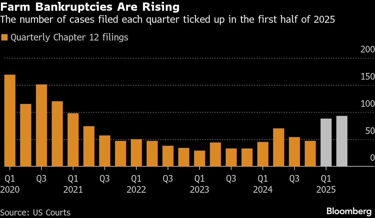 assets.bwbx.io image