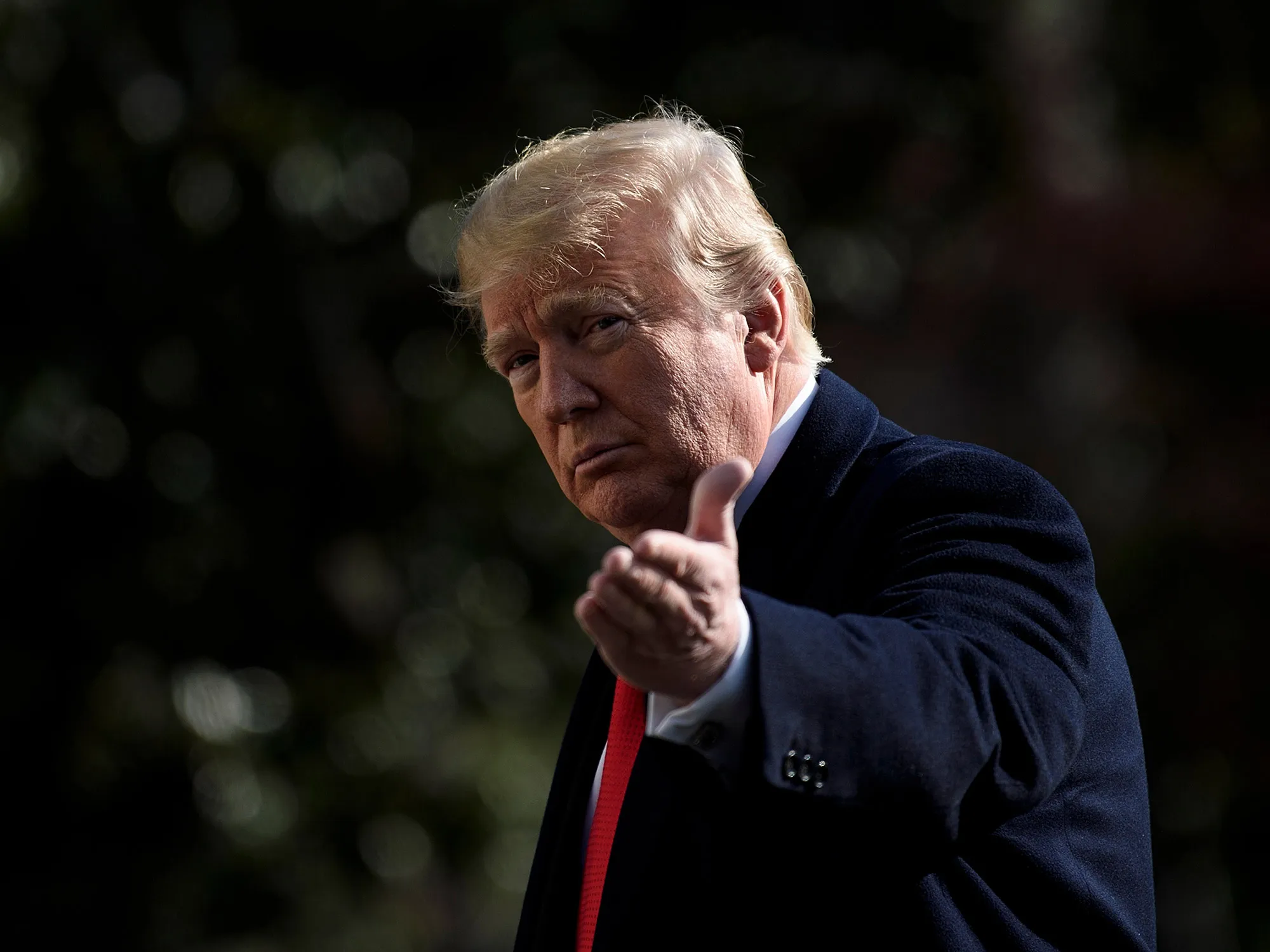 President Donald Trump&nbsp;