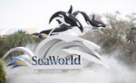 The sign at the entrance to SeaWorld in Orlando, Florida.