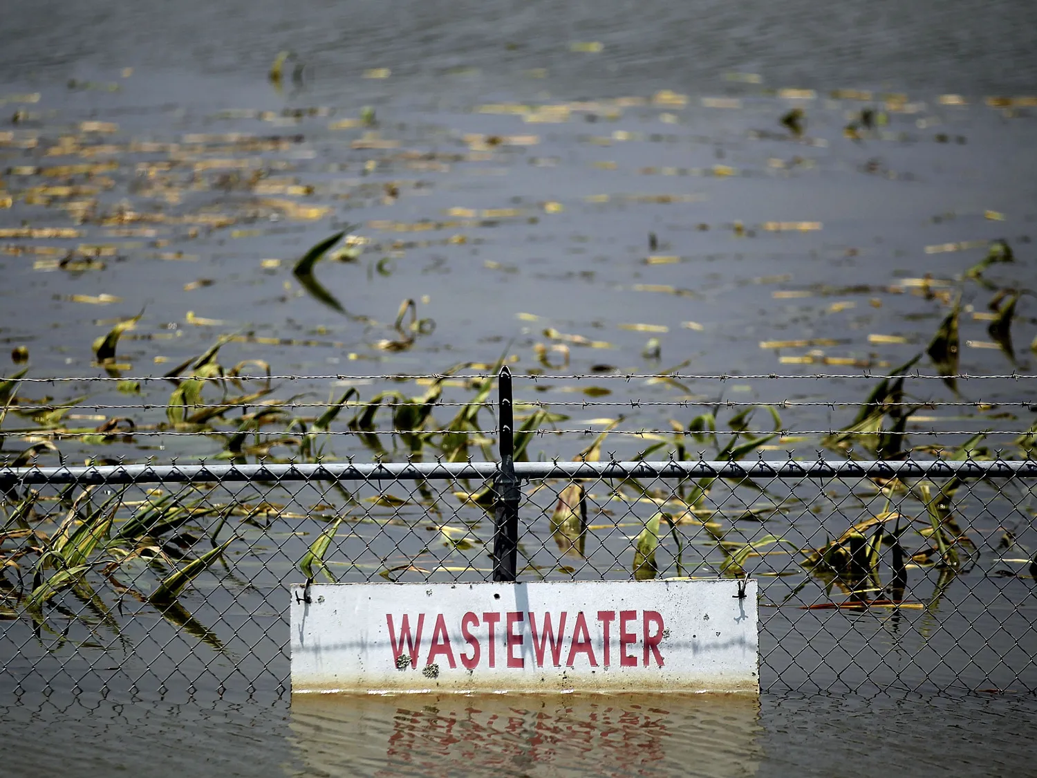 Rising Rivers And Tributaries Continue To Flood Southern Communities