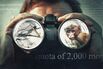 The Dangerous Underworld of Wild Monkey Laundering