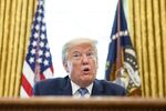 President Donald Trump