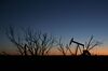 The Chevron Corp. Permian Trove Is Changing U.S. Shale 