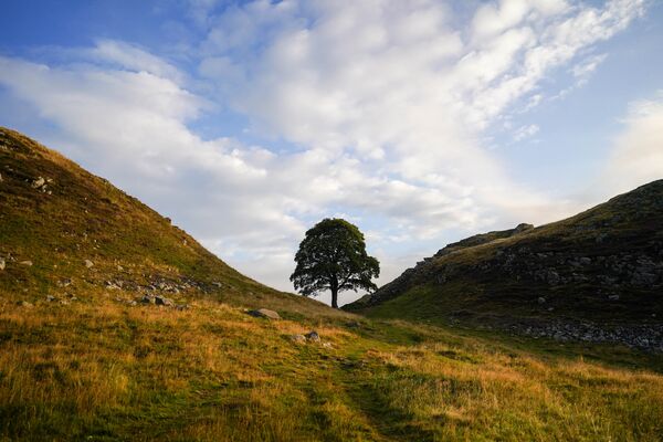 1900 Anniversary Of Hadrian's Wall