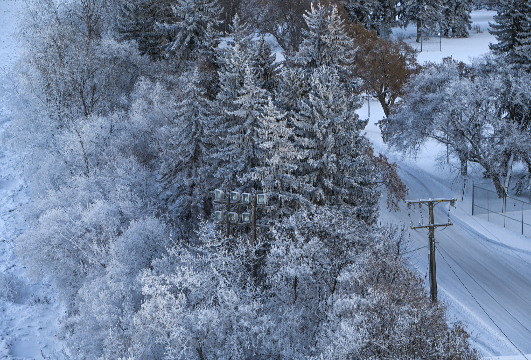 Canada weather: cold and windy across country