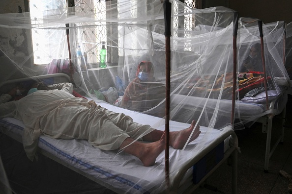 Malaria Rates Surge After Mosquito Net Changes Complicate Global Fight -  Bloomberg