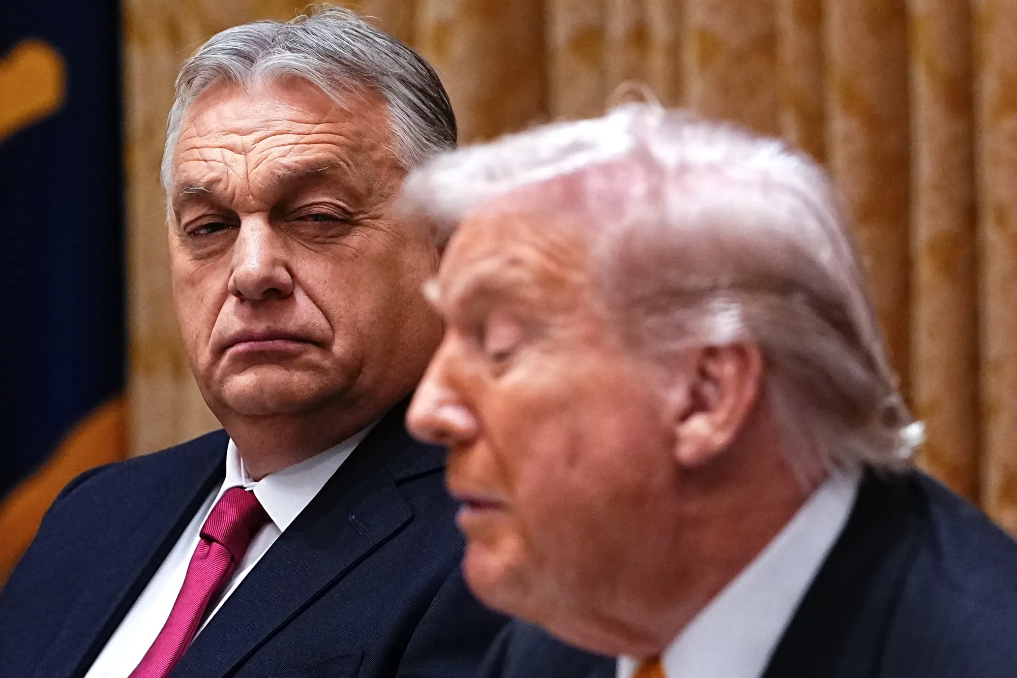 11月にワシントンで会談したハンガリーのオルバン首相（左）とトランプ米大統領