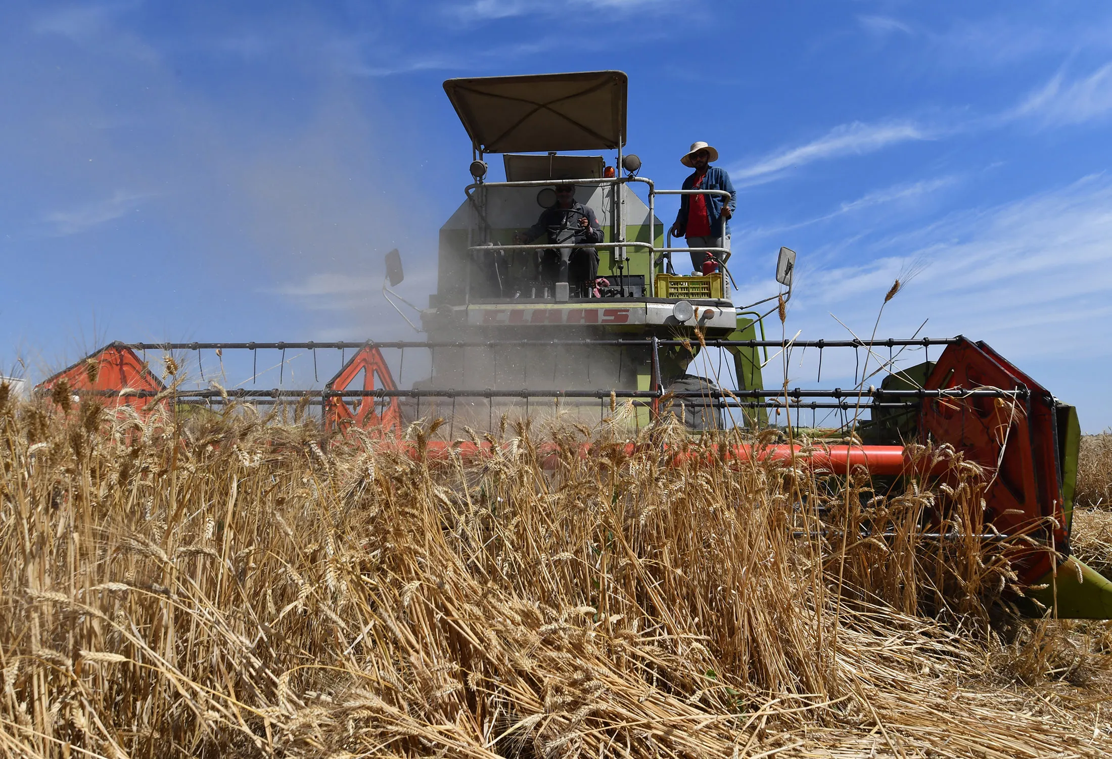 TUNISIA-ENVIRONMENT-CLIMATE-AGRICULTURE