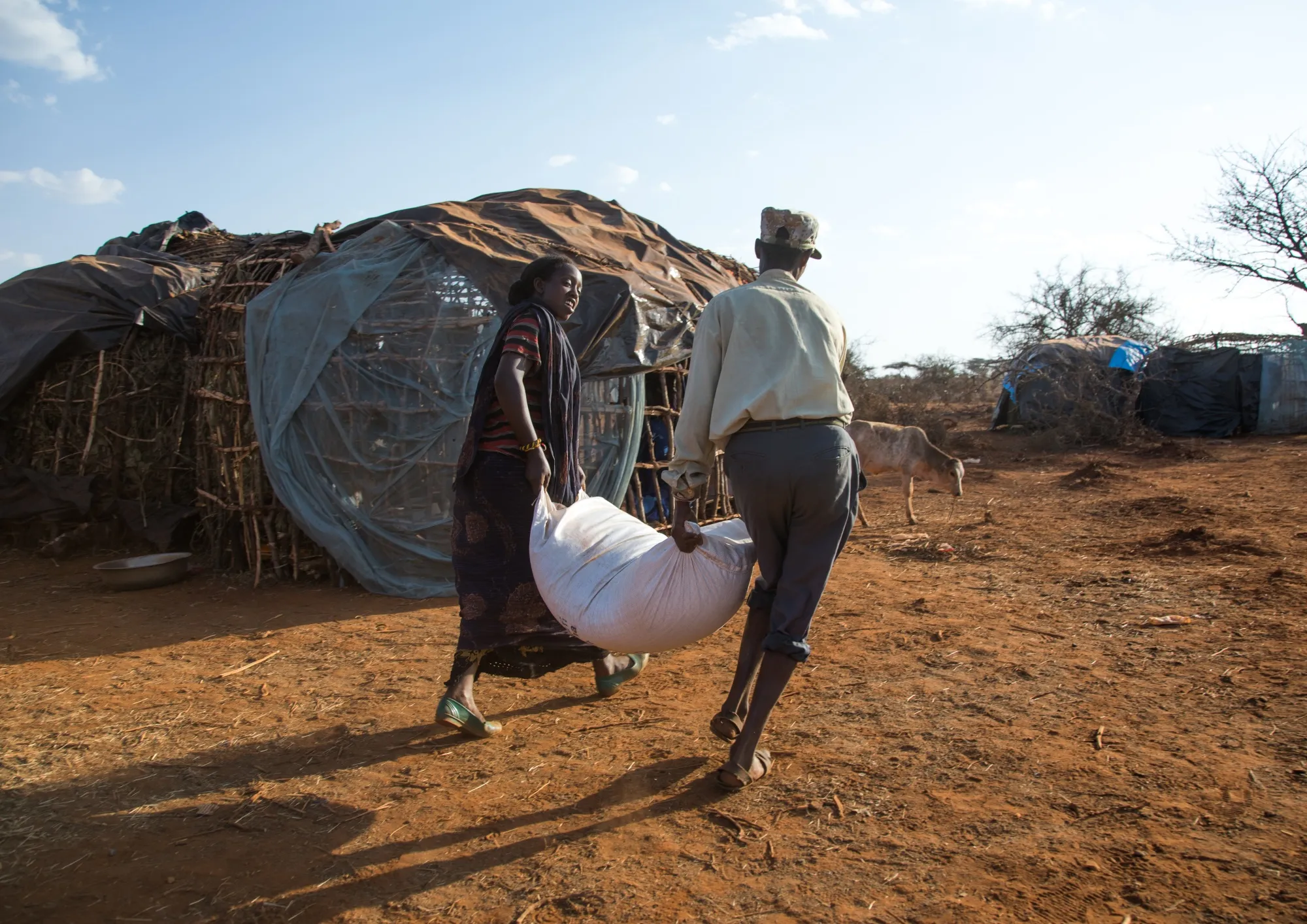 In 2021, almost 193 million people across 53 countries or territories suffered acute food insecurity.