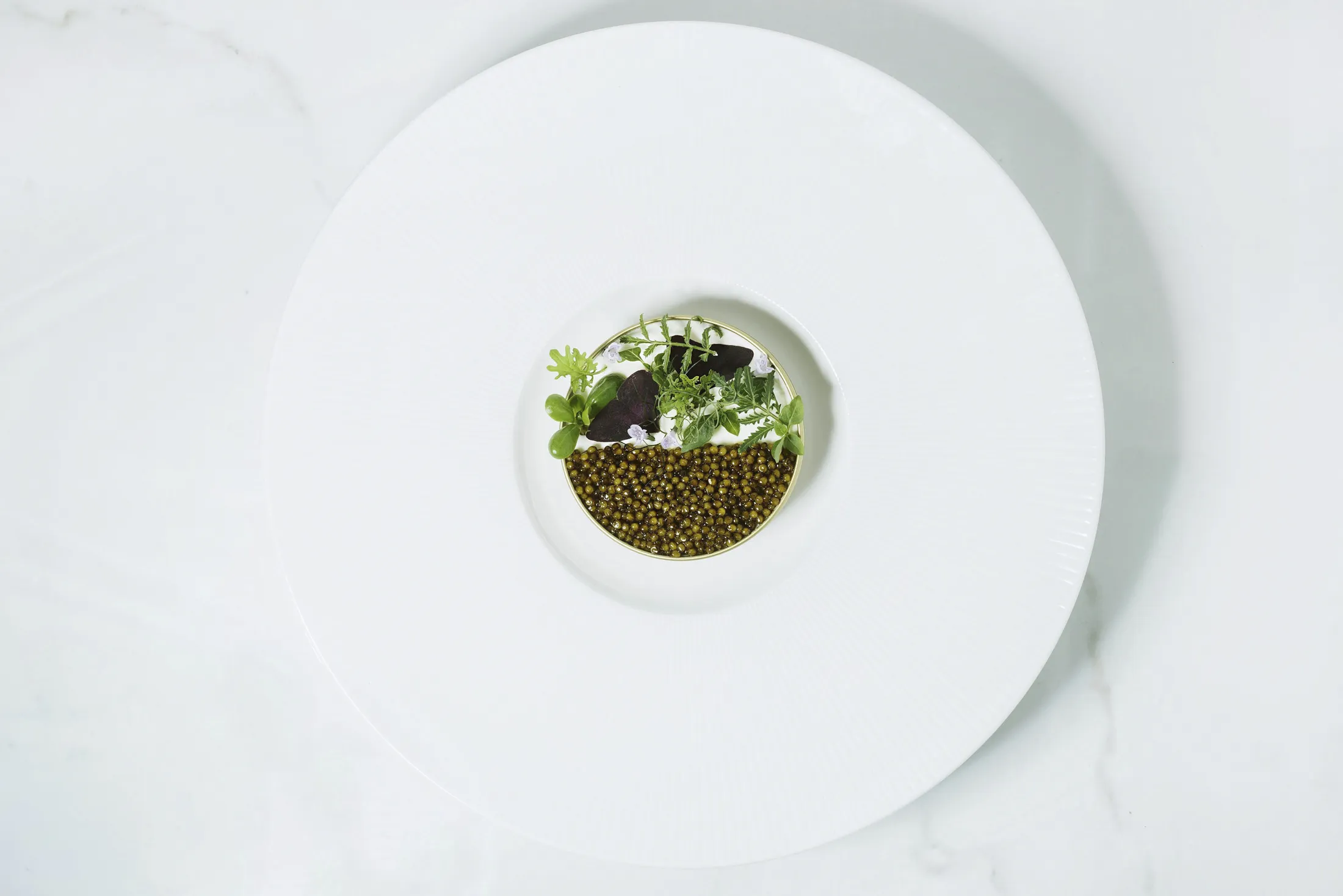 Where to Buy Legal Beluga Caviar in USA: Sturgeon Aquafarms, Huso -  Bloomberg