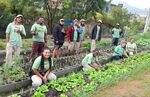Gardeners with the Hortas Cariocas program in Rio de Janeiro.