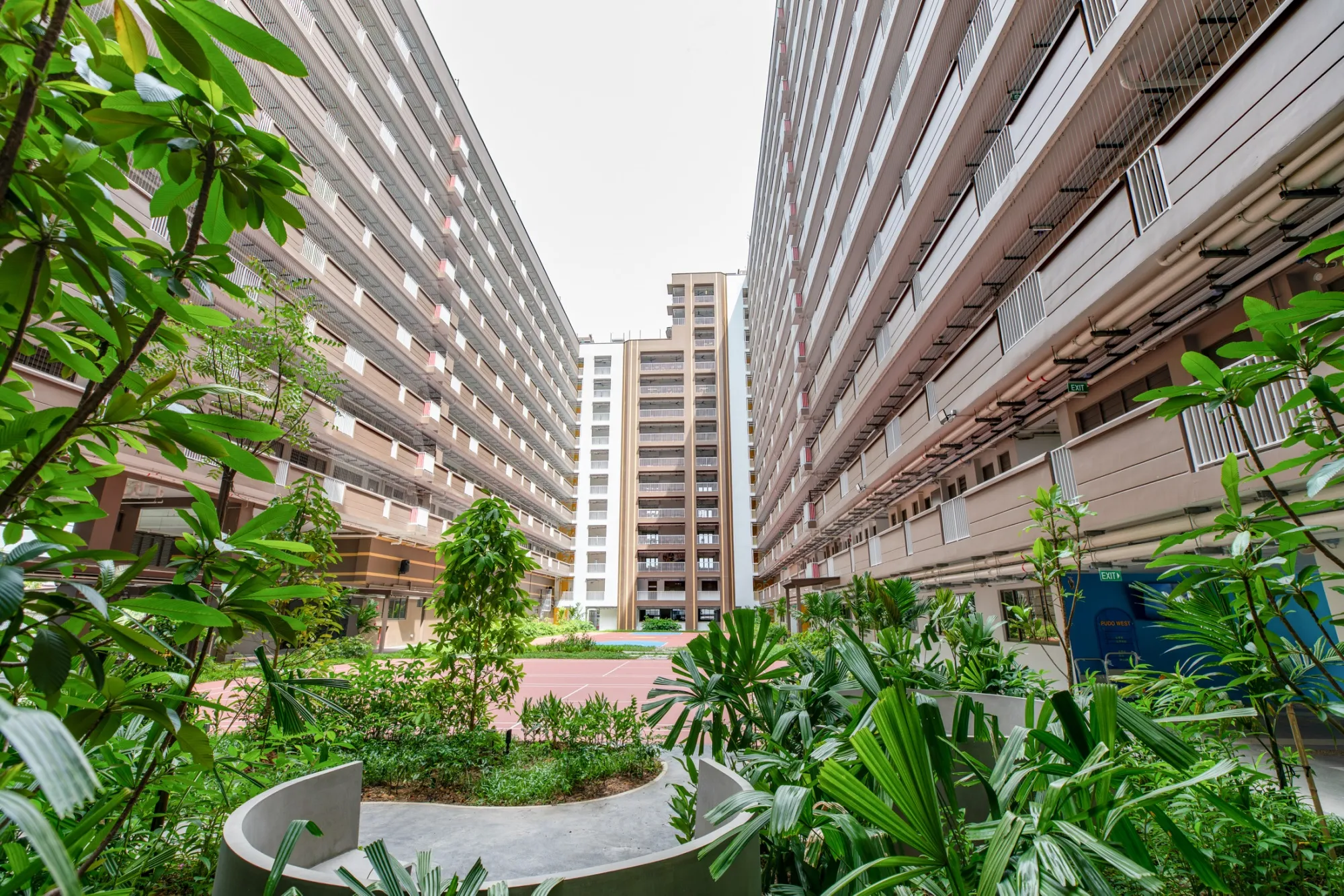 Singapore Dormitory Tests Pledge to Improve Migrant Worker Housing Post ...