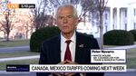 White House's Peter Navarro on Mexico, Canada Tariffs
