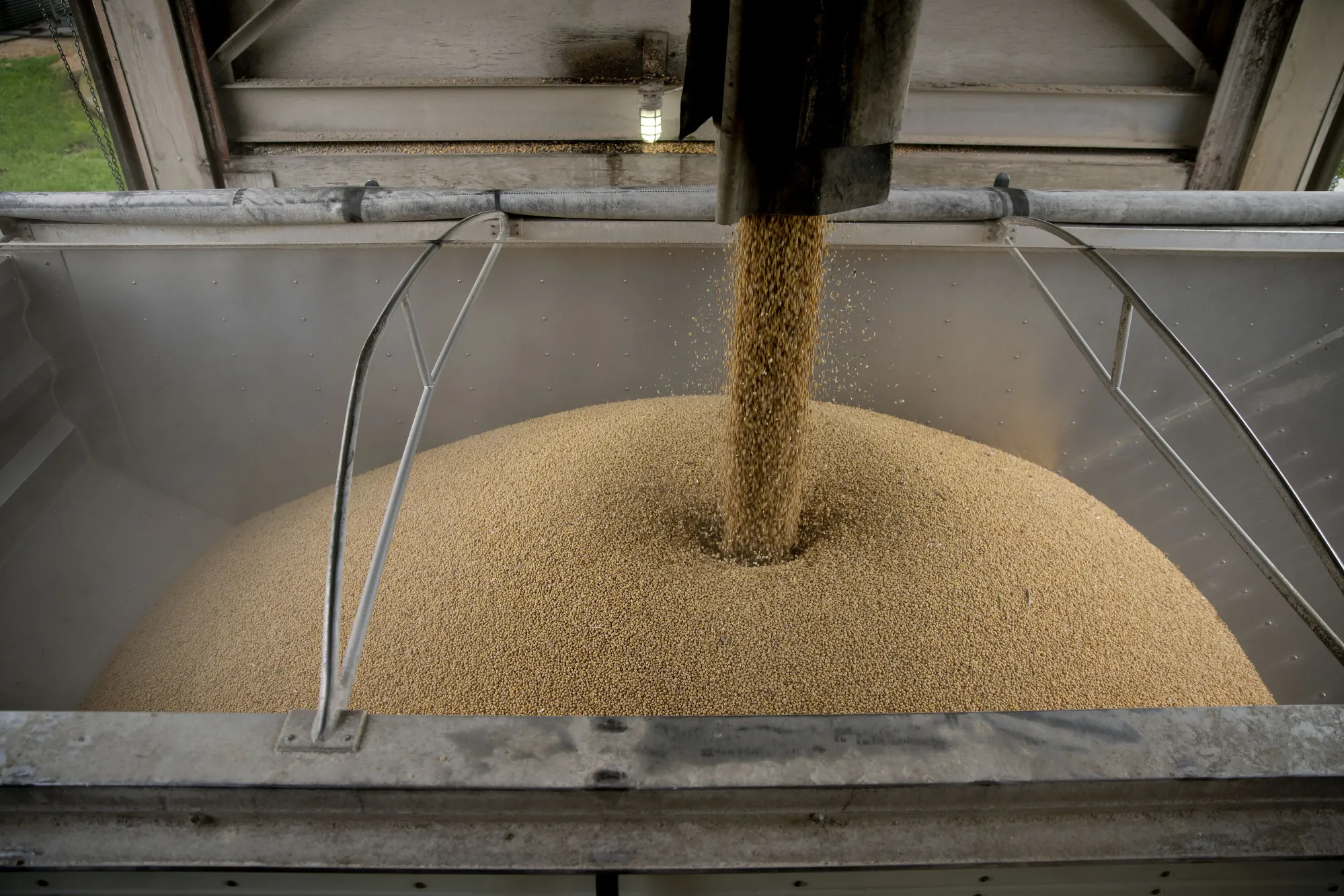 Soybeans are loaded into a truck at a grain elevator in Ohio, Illinois, U.S.