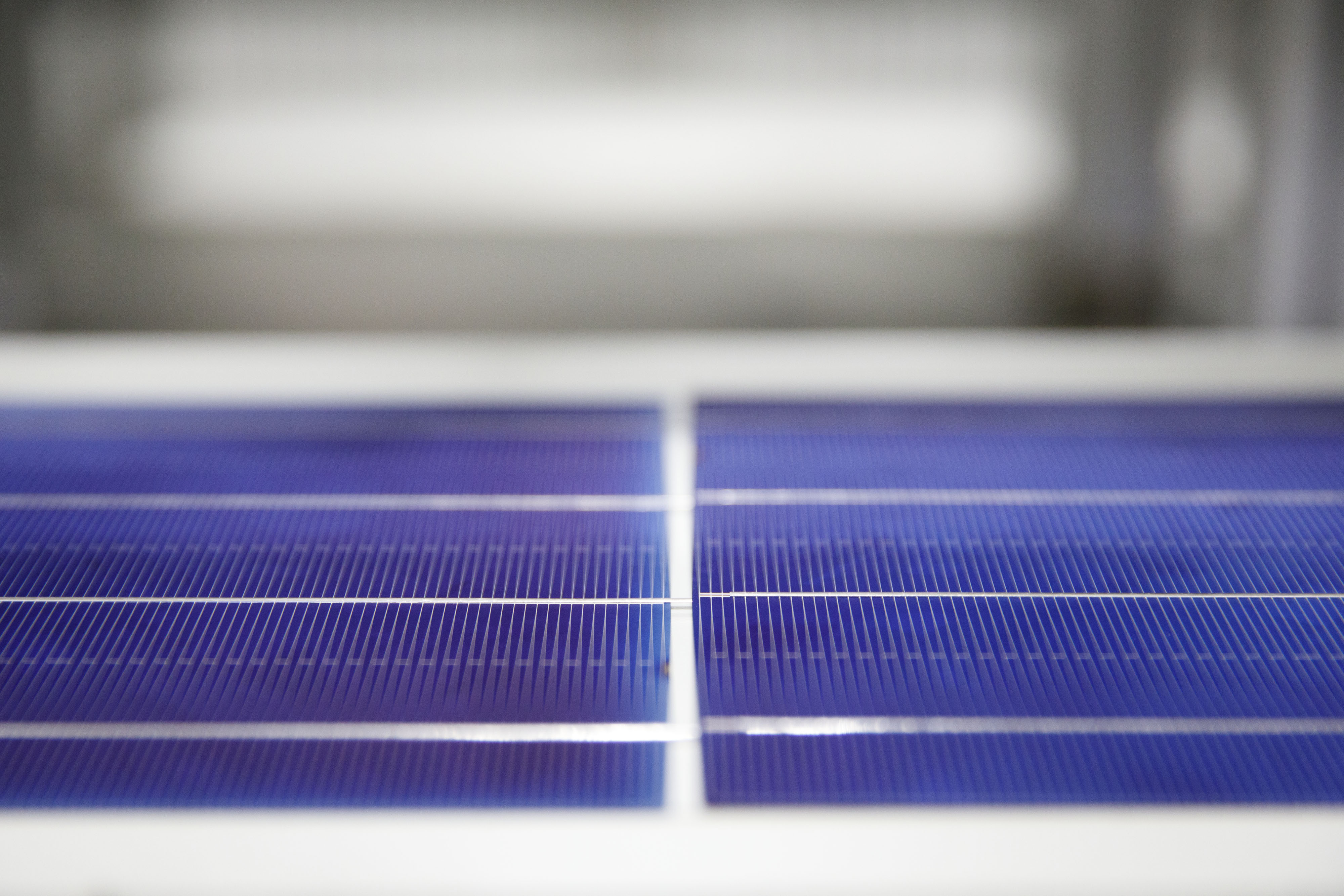 Solar Panel Manufacturing At The SunSpark Technology Inc. Facility As Industry Dodges Bullet On Tariffs 
