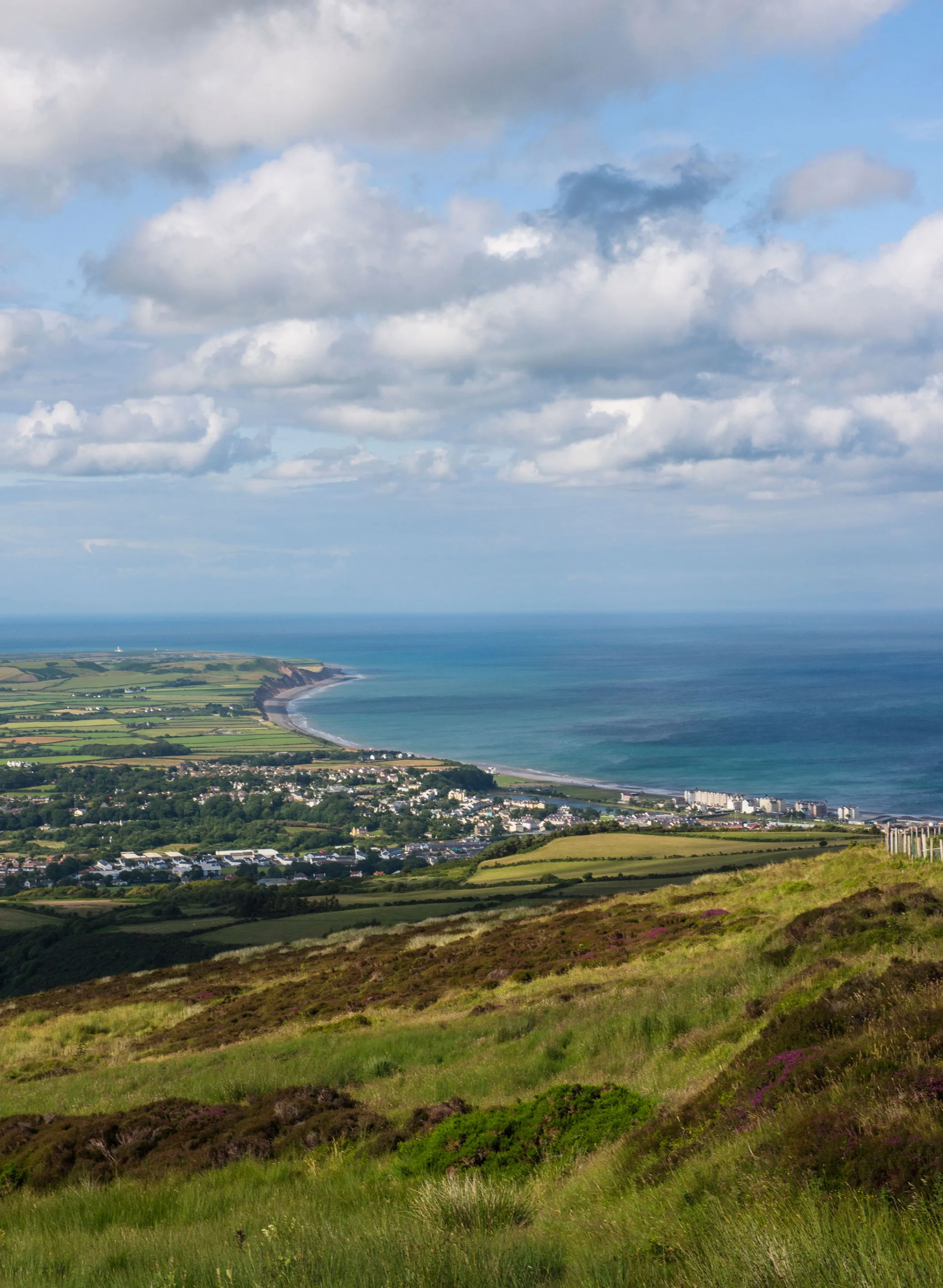 Isle of Man, Tax Haven With Tailless Cats, Becomes Bitcoin Hub - Bloomberg