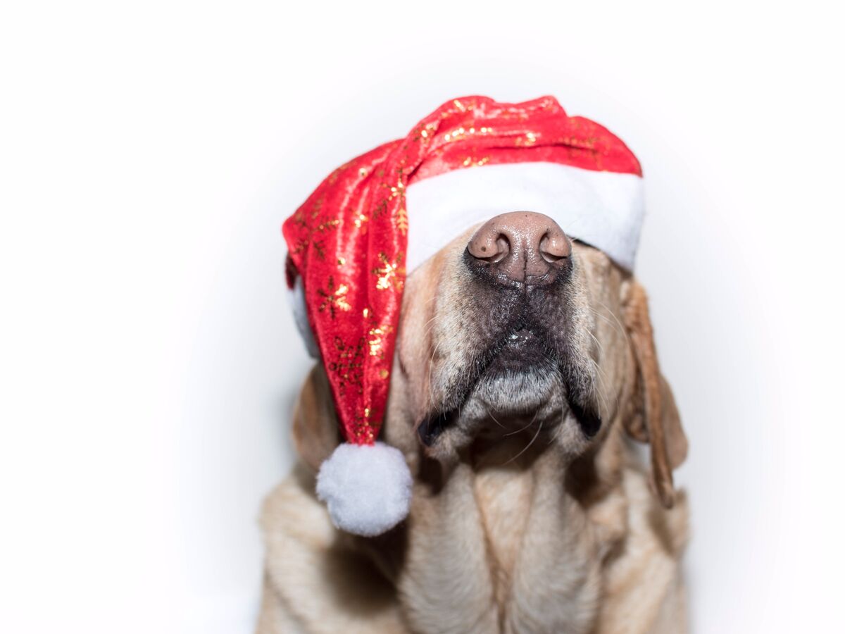 All I Want for Christmas Is My 2% Inflation