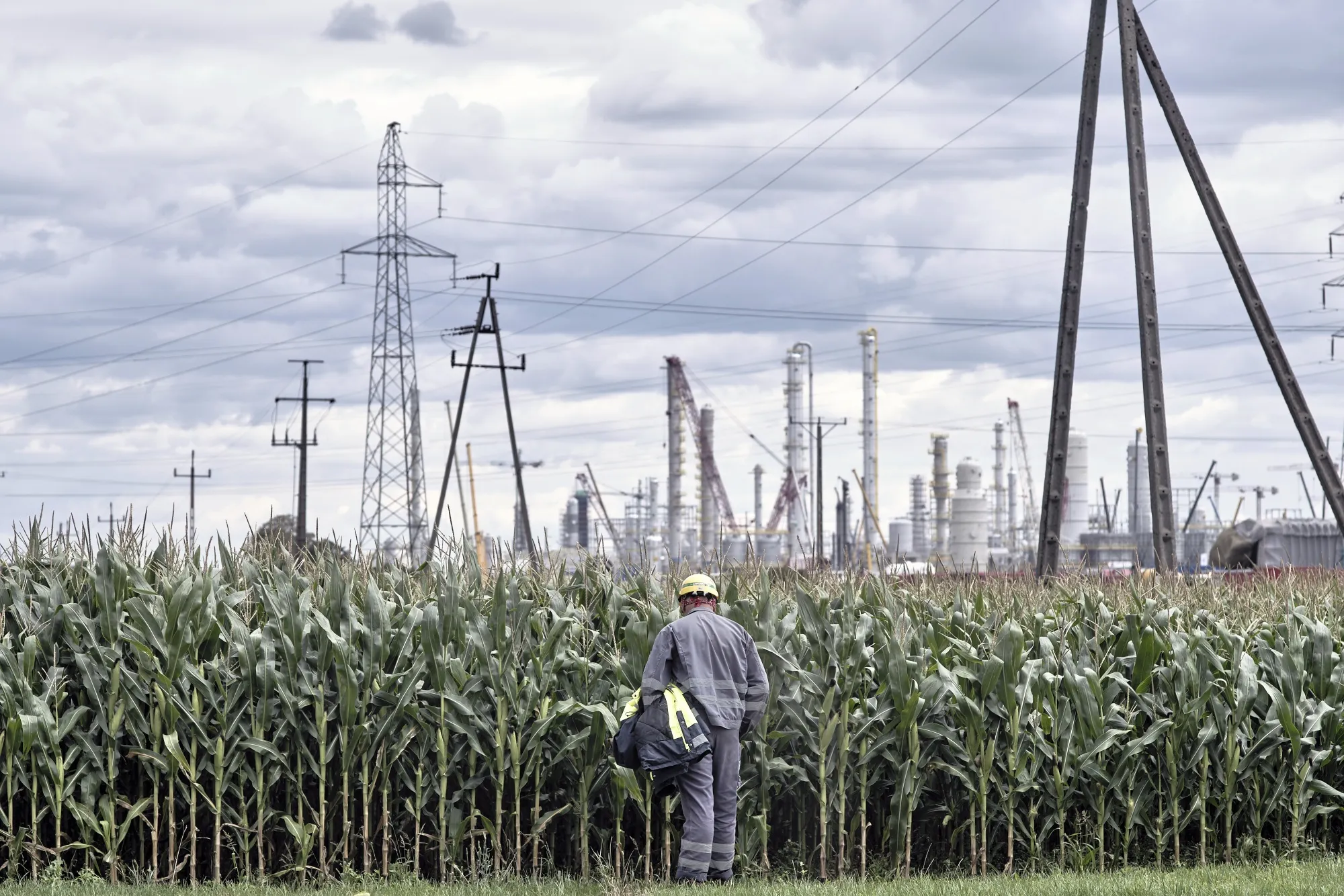Energy firm&nbsp;Orlen SA&nbsp;has jumped 43% this year after&nbsp;increasing&nbsp;dividends due to improved profitability.