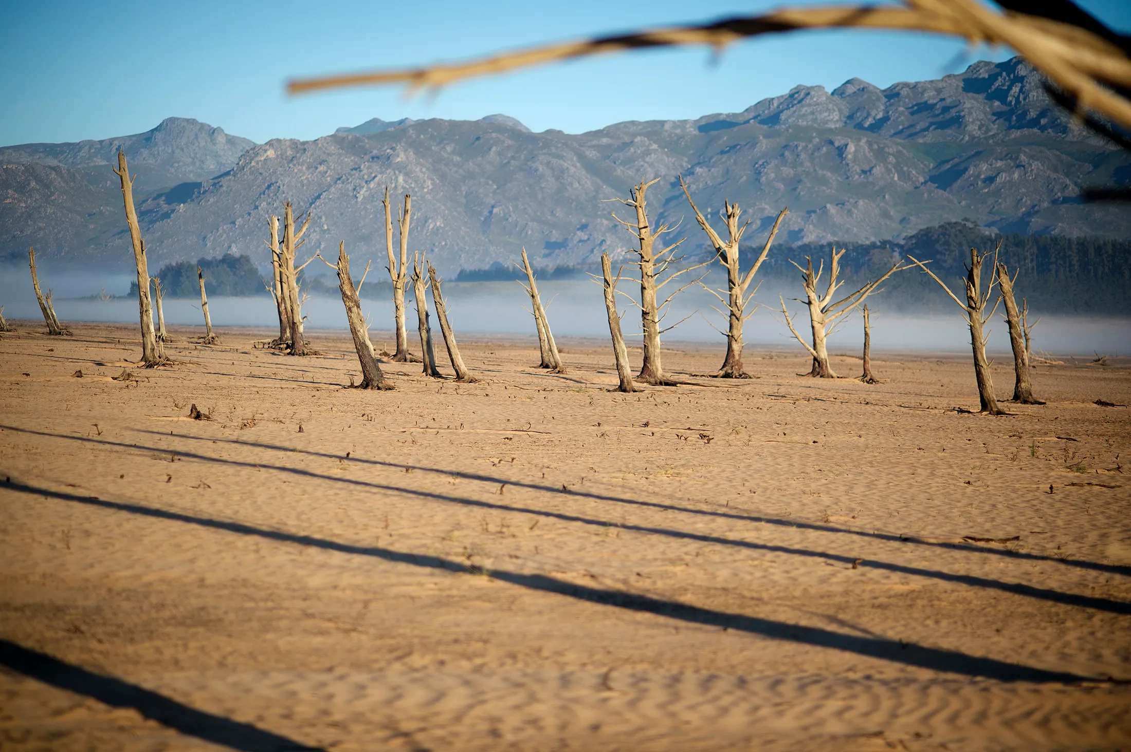 Bare sand and dried tree trunks at Theewaterskloof Dam, which has less than 20% of it's water capacity, near Villiersdorp, about 108km from Cape Town., South Africa, on May 10, 2017.
