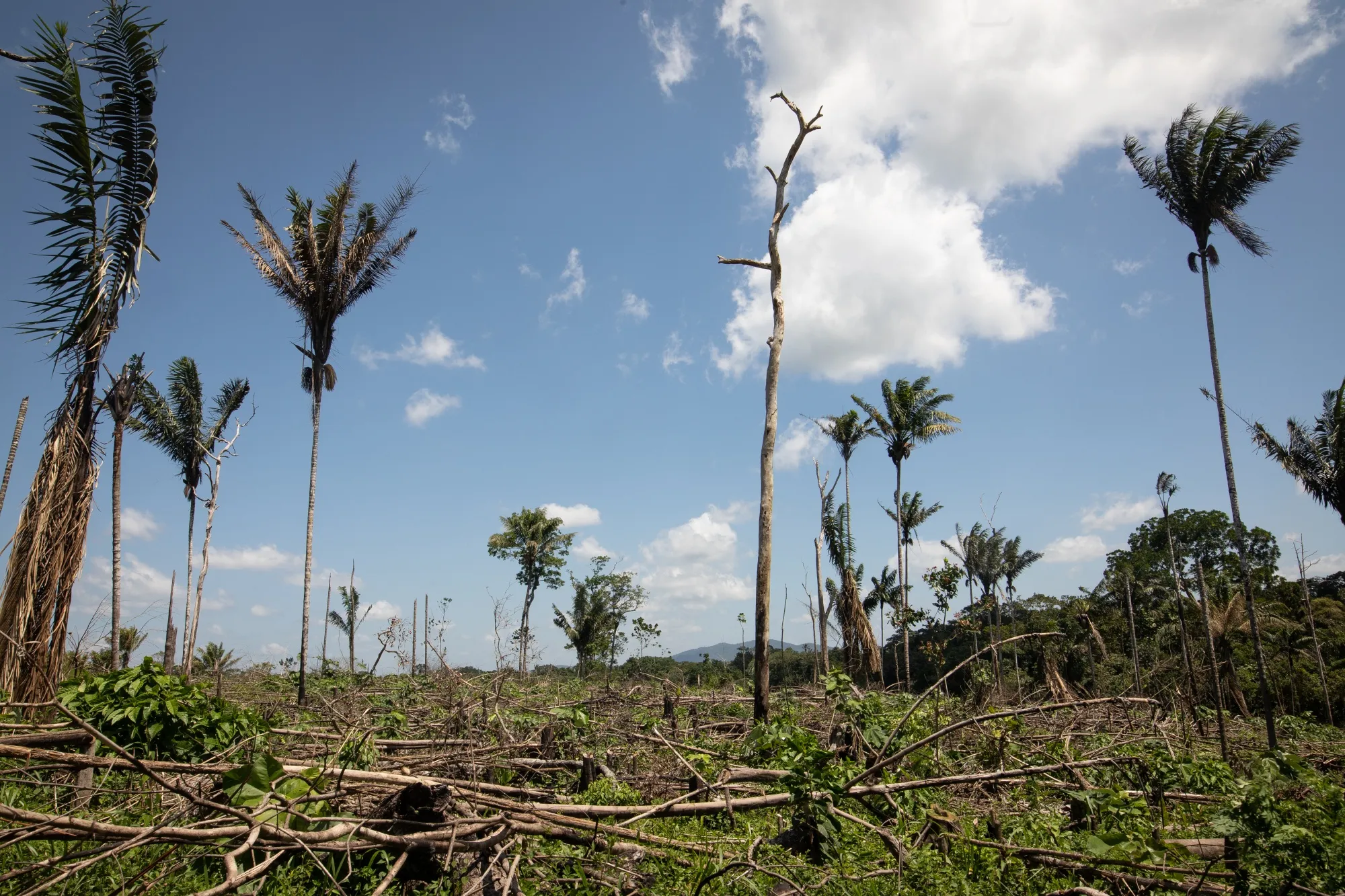 A deforested area in Colombia in 2021.&nbsp;