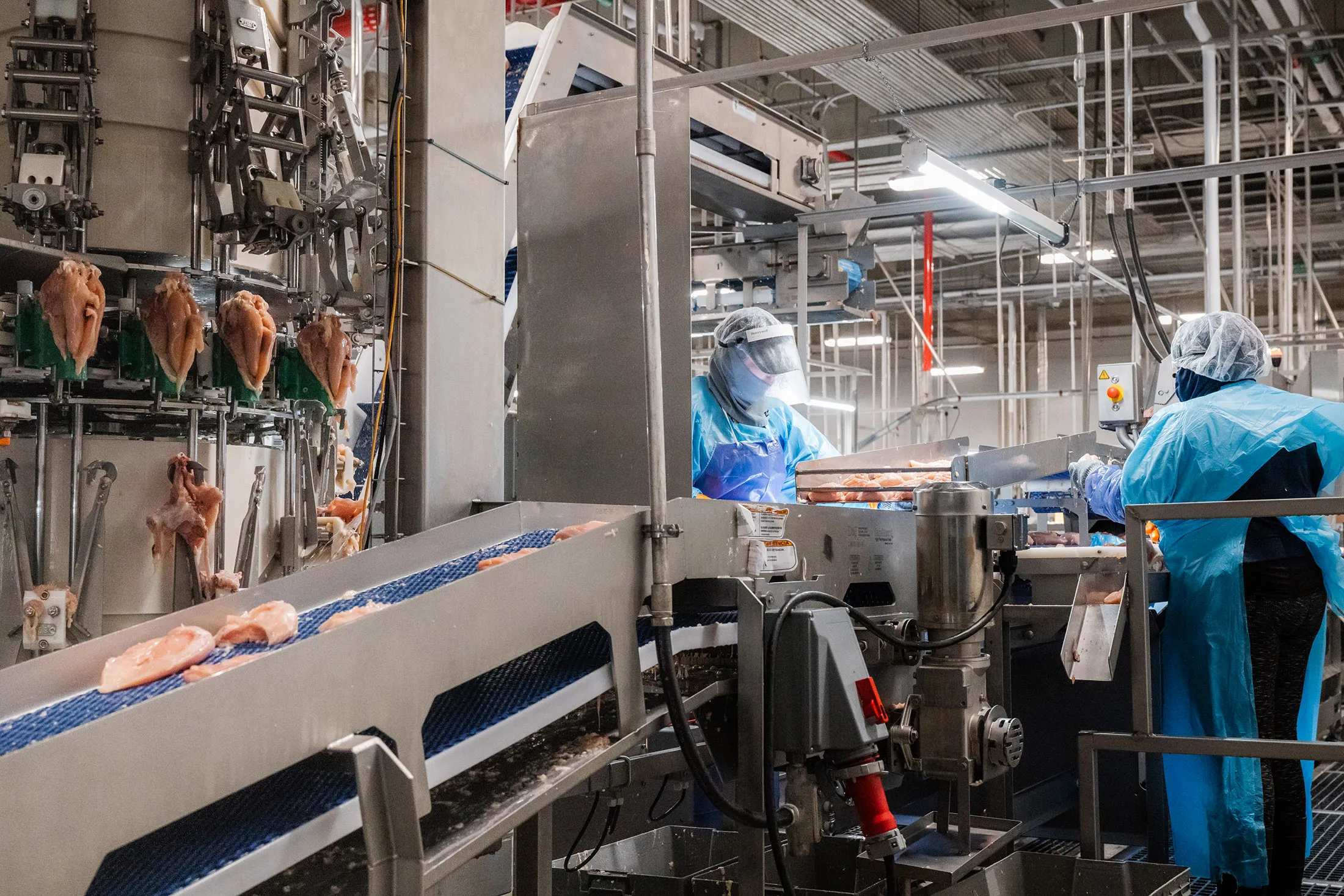 A Meyn Rapid breast deboner, left, debones chicken breast at the Wayne-Sanderson Farms processing plant in Tyler, Texas.