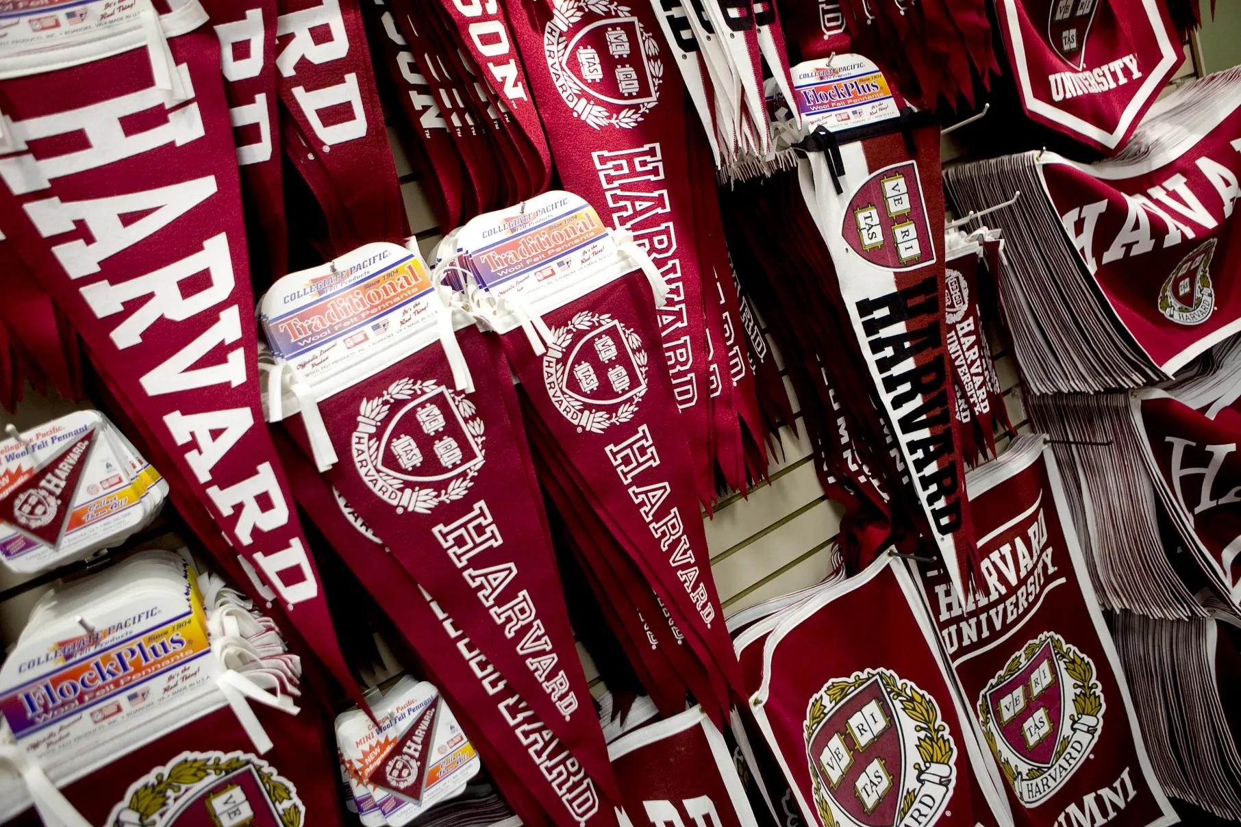 Ivy League Endowments Humbled as Bull Market Beats Esoterica