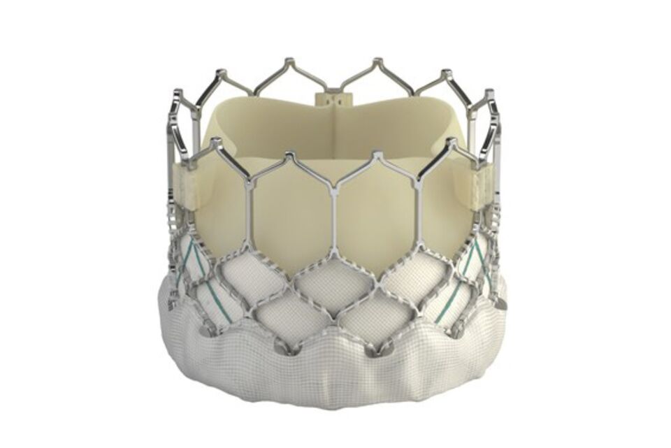 Heart Replacement Valves From Edwards and Medtronic Beat Surgery
