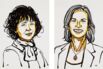 Genome Editing Breakthrough Awarded Chemistry Nobel Prize