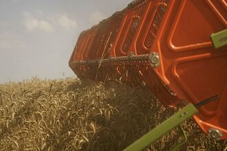 Ukrainian Wheat Harvest as Russia Threatens Global Food Supplies