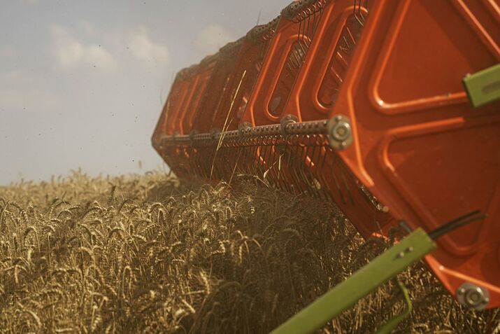 Ukrainian Wheat Harvest as Russia Threatens Global Food Supplies