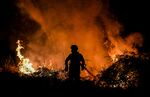 A firefighter tackles a forest fire in Baiao, Portugal on July 15.