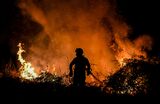 TOPSHOT-PORTUGAL-ENVIRONMENT-WILDFIRE