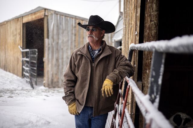 A portrait of Andrew Maneotis, Jr. outdoors, leaning against metal gates along an out-building. He's wearing a brown coat, yellow gloves and a black hat.