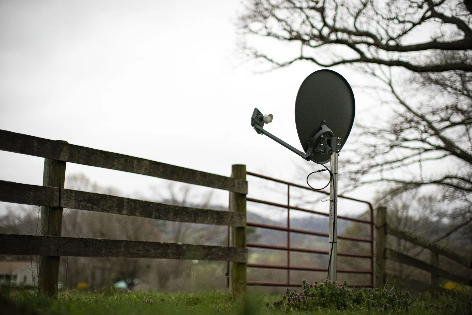An internet satellite dish in the yard of a house in Madison, Virginia, U.S.