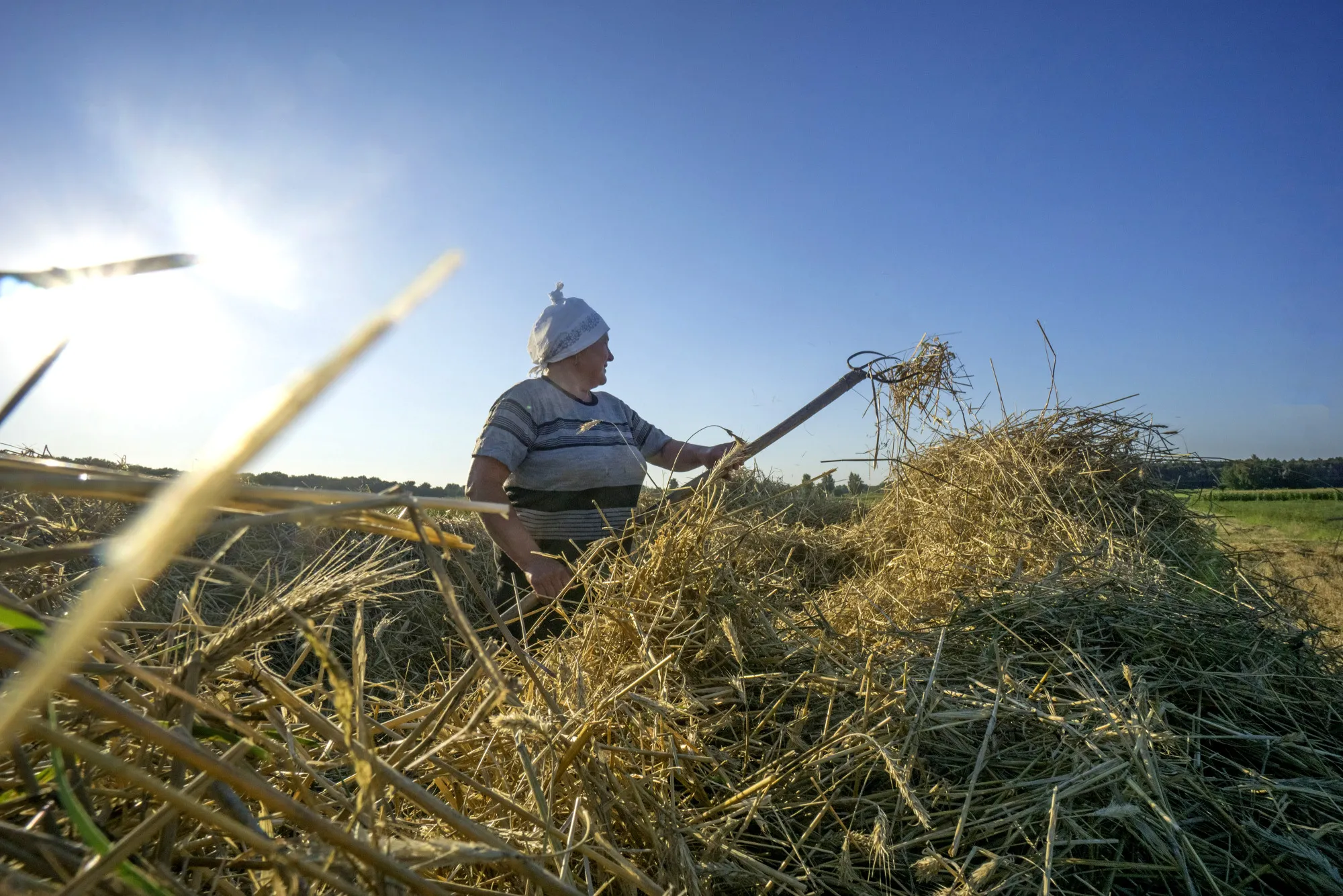 Ukraine: Europe’s last farmland frontier.