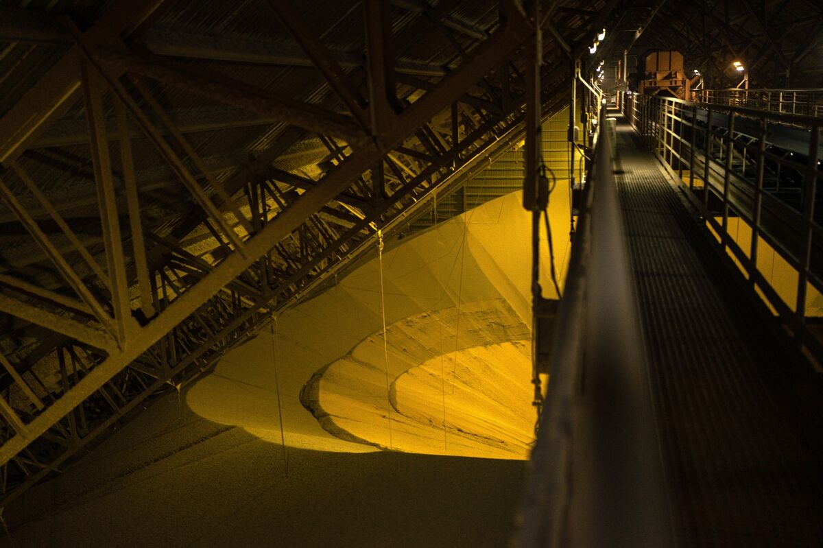 China Traders Book Argentine Soy After Milei’s Export Tax Break