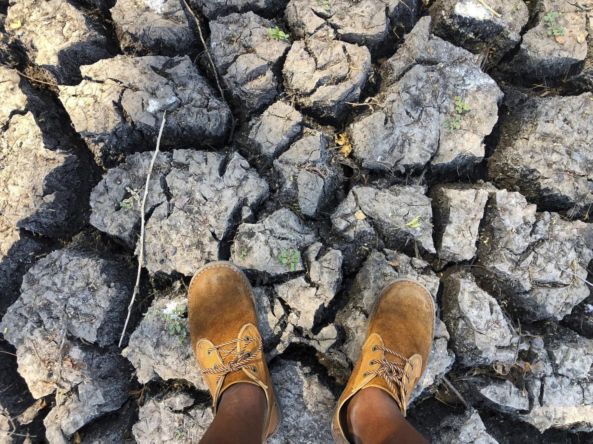 Dried earth in the Mana Pools National Park, Zimbabwe.