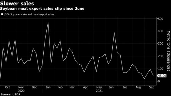 U.S. Soybean Meal Export Hub Damage May Take Months to Fix