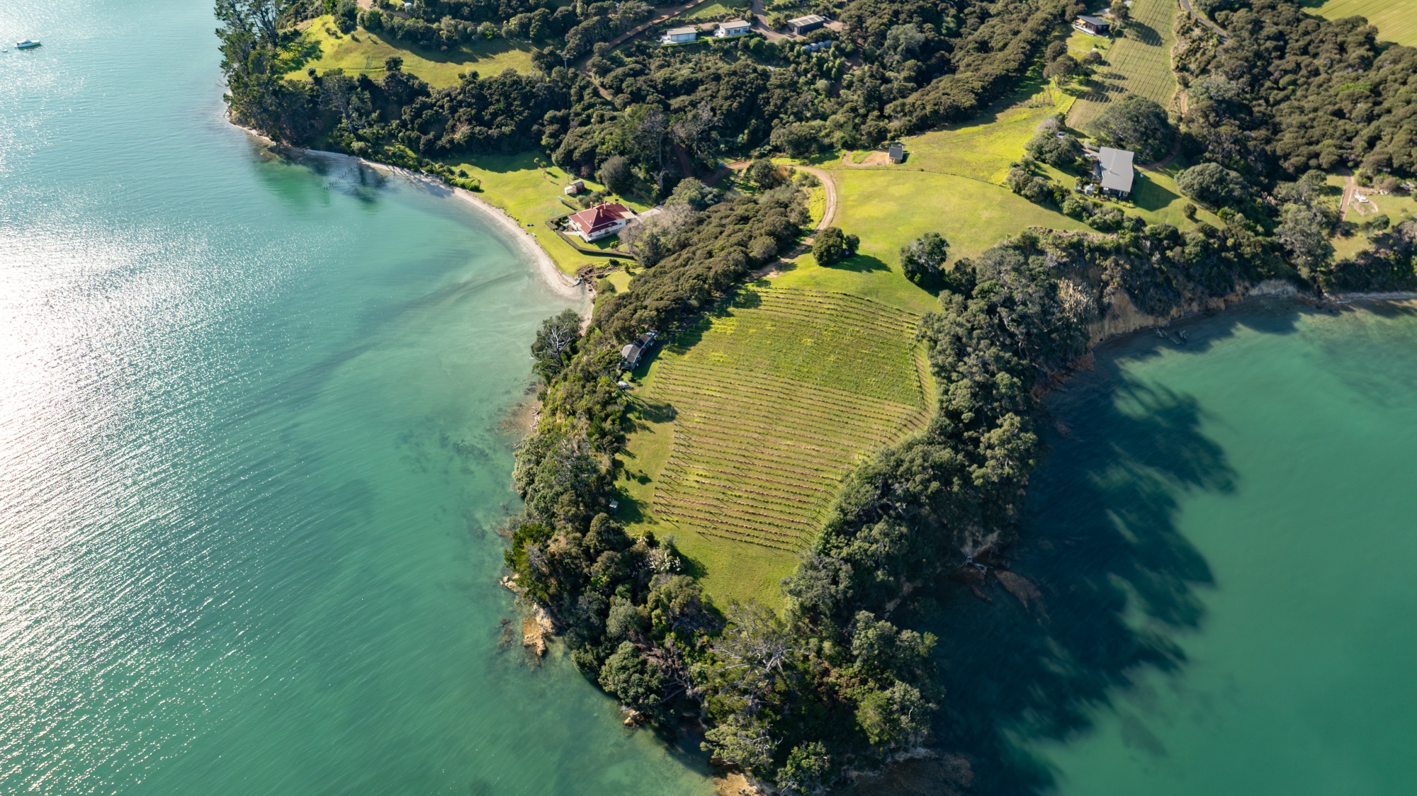 The property at 40 Rothschild Terrace on Waiheke Island, New Zealand. Source: Paterson Luxury