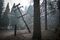 Deadliest Wildfires In California History As Death Toll Rises
