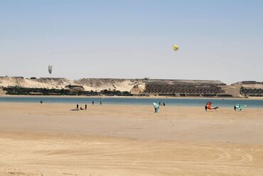 ‘The Odyssey’ Wades Into a 50-Year Land Feud in Western Sahara