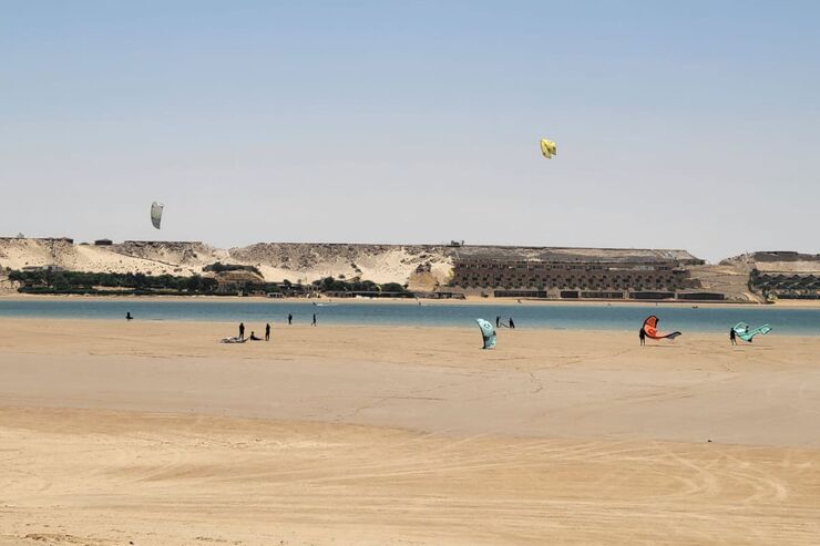 ‘The Odyssey’ Wades Into a 50-Year Land Feud in Western Sahara