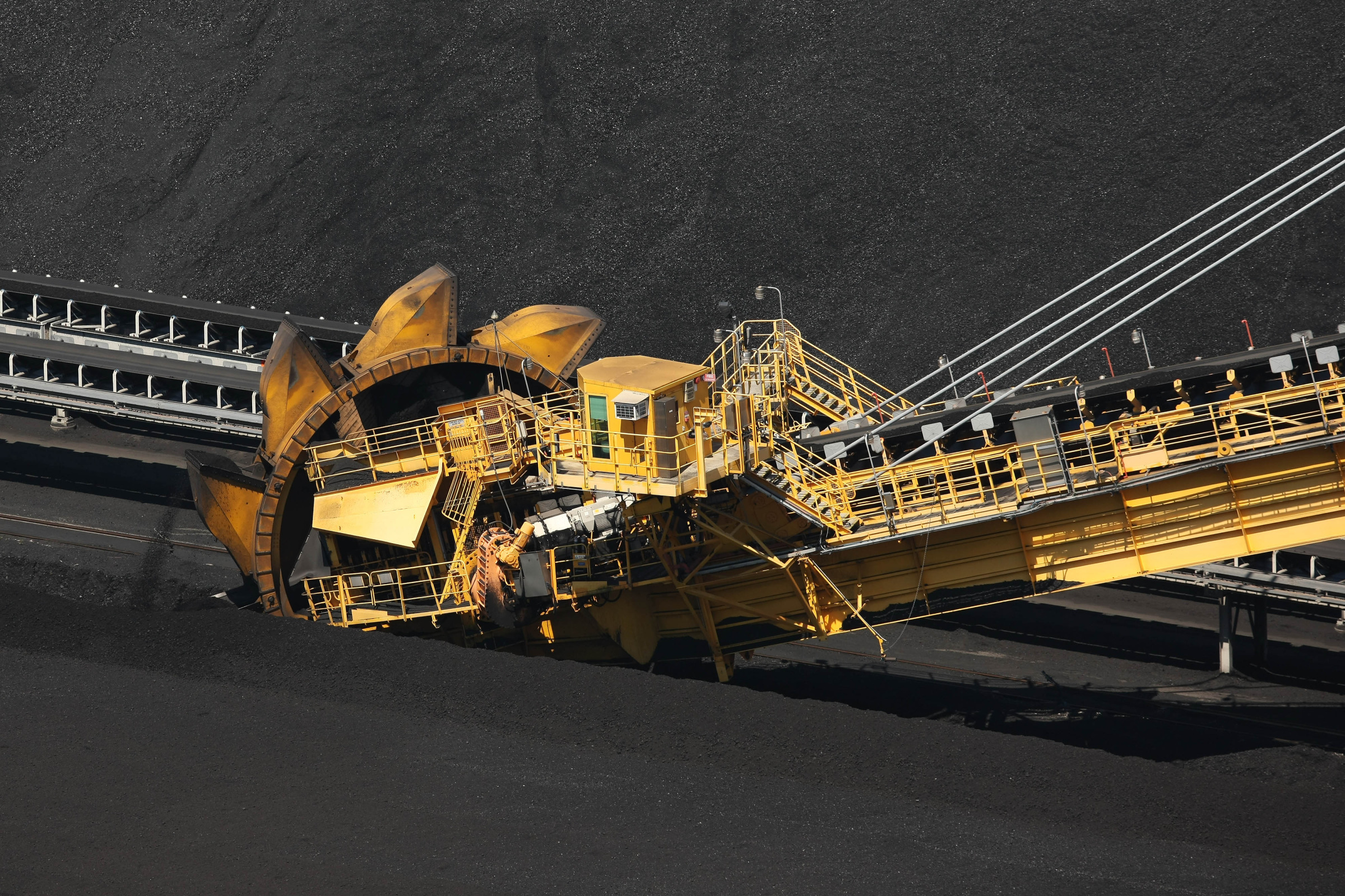 Bluebell Capital urges Glencore to exit thermal coal, improve corporate  governance - report