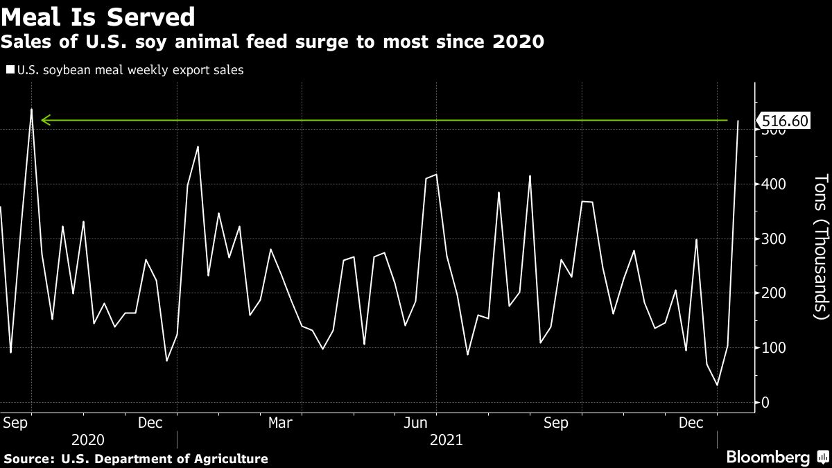 U.S. Soy Meal Exports Soar As Biofuel Frenzy Boosts Bean Crush - Bloomberg